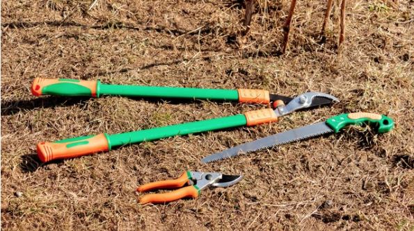 Tree Pruning and Trimming A Comprehensive Guide tools